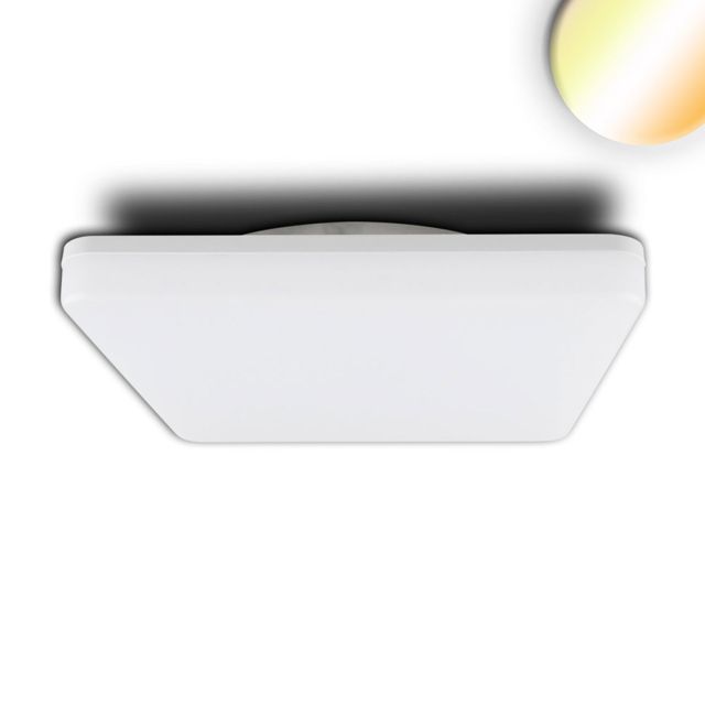 LED mennyezeti/fali lámpa, 24W, fehér, szögletes, 328x328mm, IP54, ColorSwitch 3000K|4000K