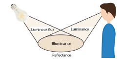 Lumen